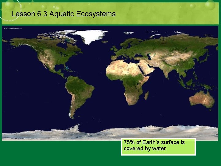 Lesson 6. 3 Aquatic Ecosystems 75% of Earth’s surface is covered by water. 