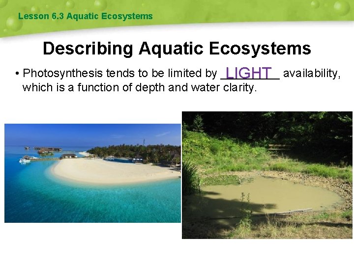 Lesson 6. 3 Aquatic Ecosystems Describing Aquatic Ecosystems • Photosynthesis tends to be limited