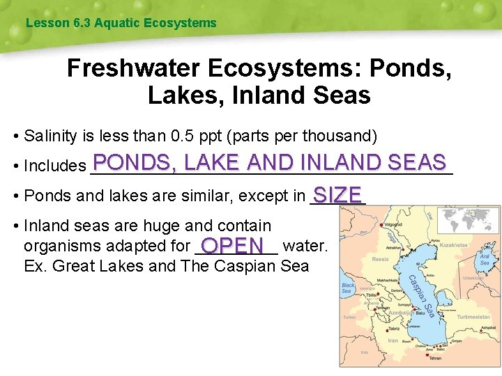 Lesson 6. 3 Aquatic Ecosystems Freshwater Ecosystems: Ponds, Lakes, Inland Seas • Salinity is