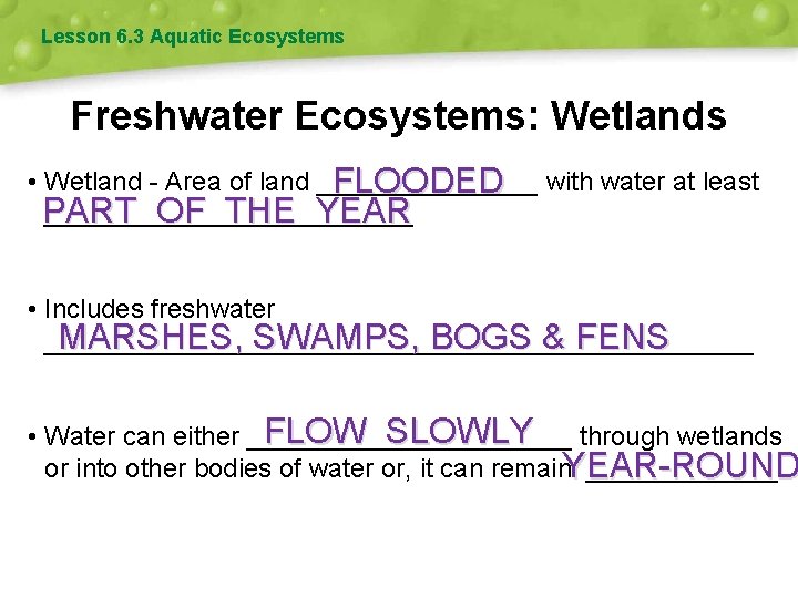 Lesson 6. 3 Aquatic Ecosystems Freshwater Ecosystems: Wetlands • Wetland - Area of land