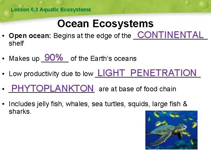 Lesson 6. 3 Aquatic Ecosystems Ocean Ecosystems CONTINENTAL • Open ocean: Begins at the