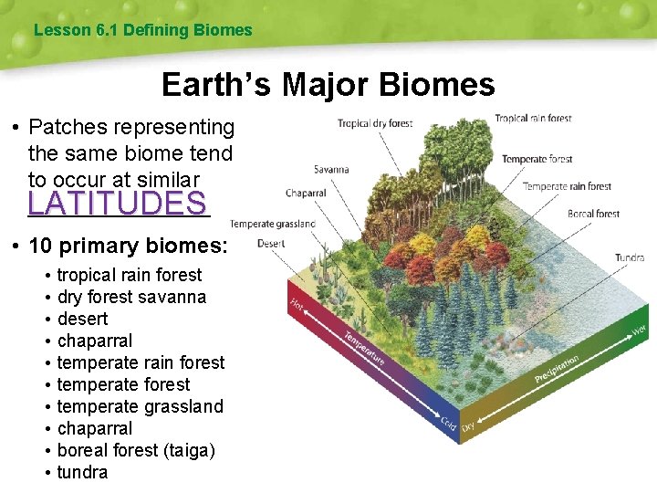 Lesson 6. 1 Defining Biomes Earth’s Major Biomes • Patches representing the same biome