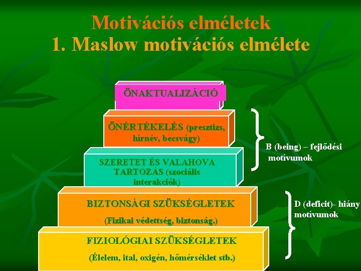 Motivációs elméletek 1. Maslow motivációs elmélete ÖNAKTUALIZÁCIÓ ÖNÉRTÉKELÉS (presztizs, hírnév, becsvágy) SZERETET ÉS VALAHOVA