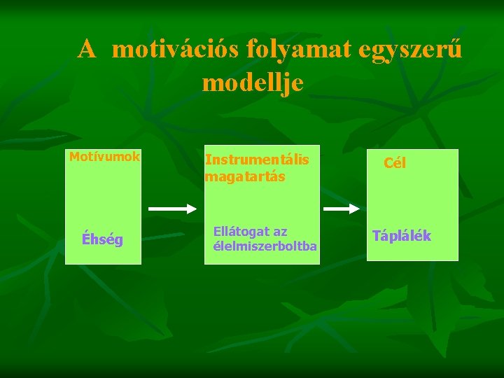 A motivációs folyamat egyszerű modellje Motívumok Éhség Instrumentális magatartás Ellátogat az élelmiszerboltba Cél Táplálék