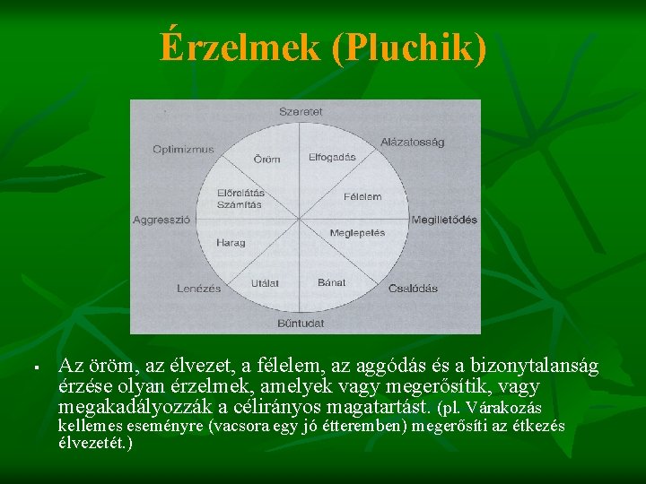 Érzelmek (Pluchik) § Az öröm, az élvezet, a félelem, az aggódás és a bizonytalanság