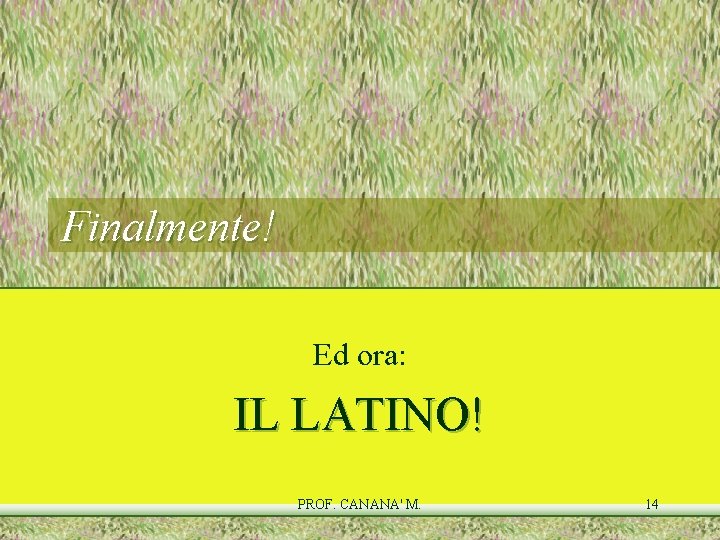 Finalmente! Ed ora: IL LATINO! PROF. CANANA' M. 14 Finalmente! Ed ora: IL LATINO! PROF. CANANA' M. 14