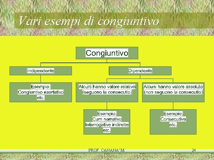 Vari esempi di congiuntivo PROF. CANANA' M. 24 Vari esempi di congiuntivo PROF. CANANA' M. 24