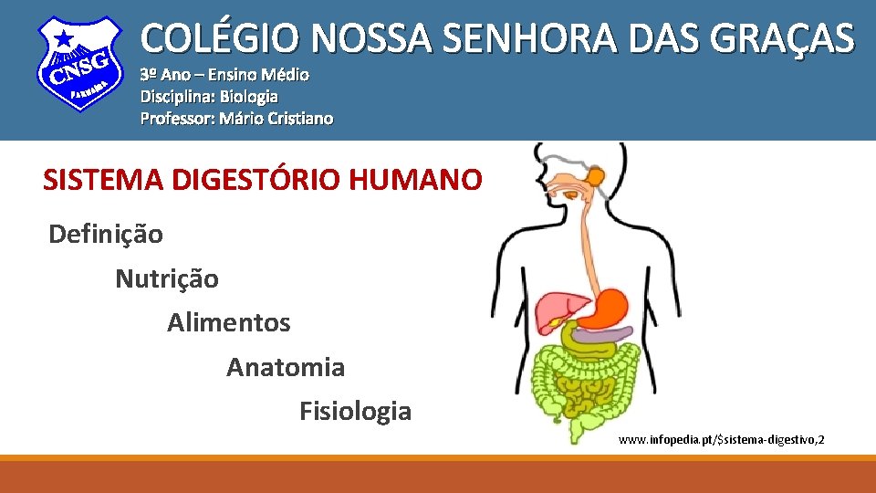 COLÉGIO NOSSA SENHORA DAS GRAÇAS 3º Ano – Ensino Médio Disciplina: Biologia Professor: Mário