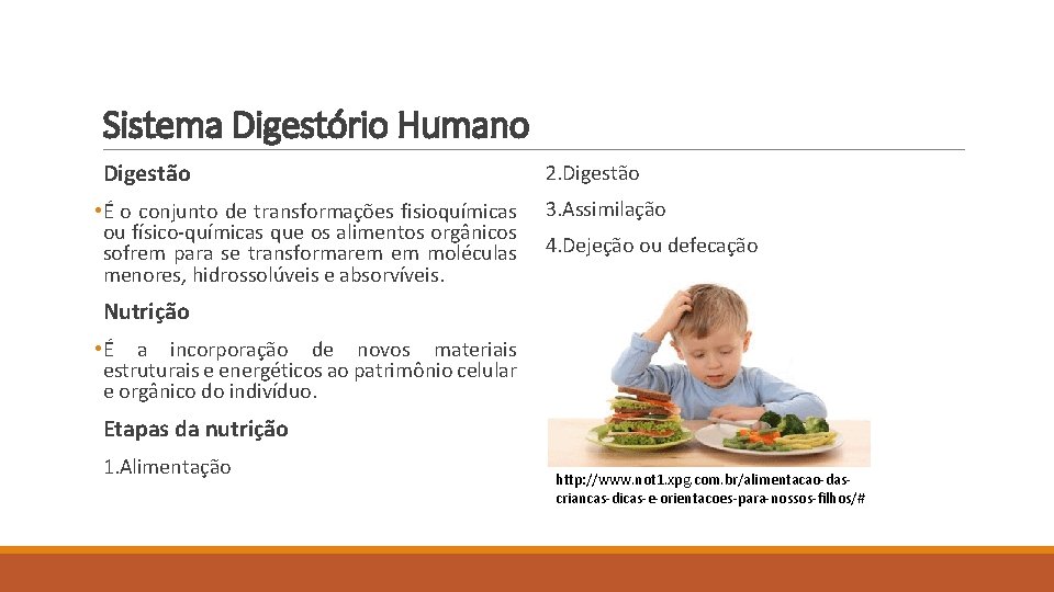 Sistema Digestório Humano Digestão • É o conjunto de transformações fisioquímicas ou físico-químicas que