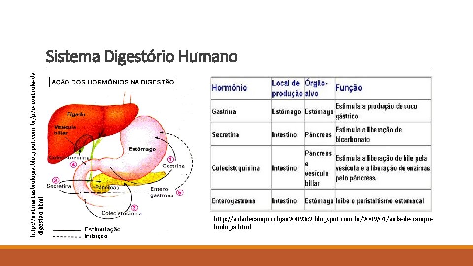 http: //nutrientesbiologia. blogspot. com. br/p/o-controle-da -digestao. html Sistema Digestório Humano http: //auladecampoccbjan 20093 c