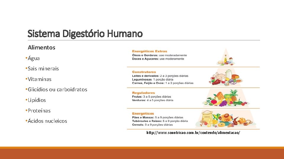 Sistema Digestório Humano Alimentos • Água • Sais minerais • Vitaminas • Glicídios ou