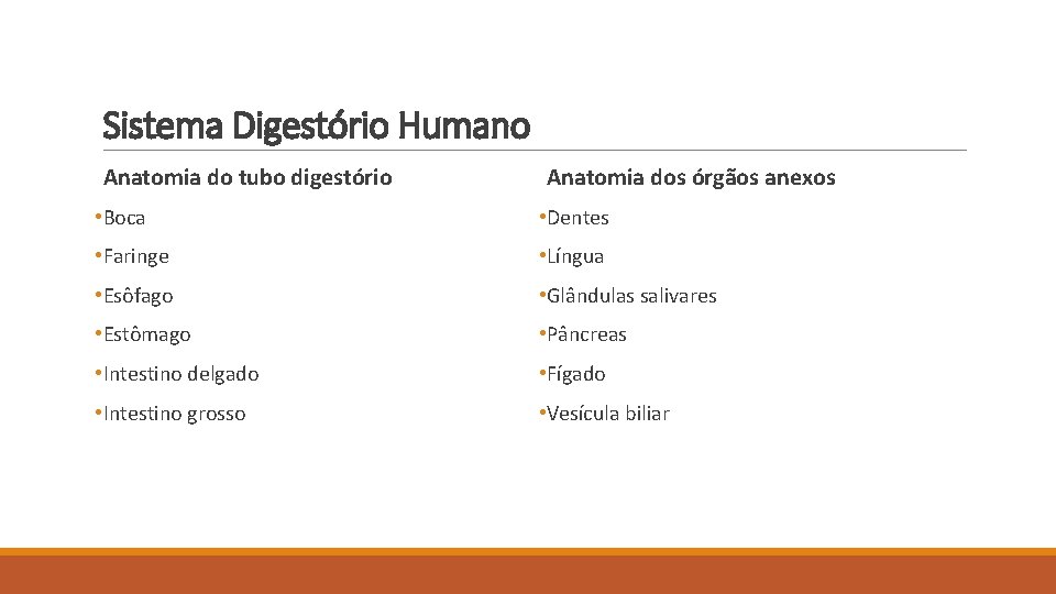 Sistema Digestório Humano Anatomia do tubo digestório Anatomia dos órgãos anexos • Boca •