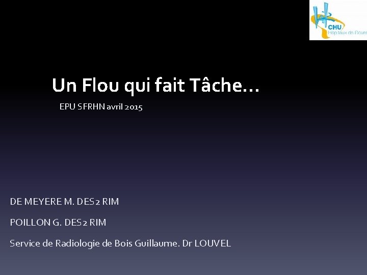 Un Flou qui fait Tâche… EPU SFRHN avril 2015 DE MEYERE M. DES 2