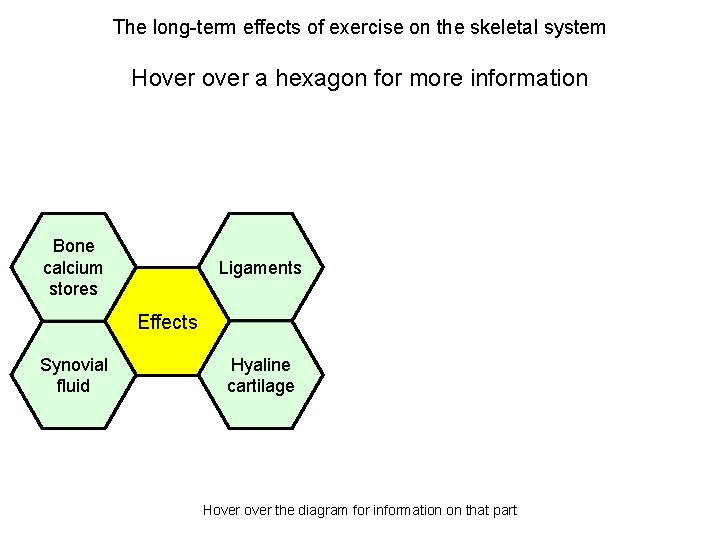 The long-term effects of exercise on the skeletal system Hover a hexagon for more