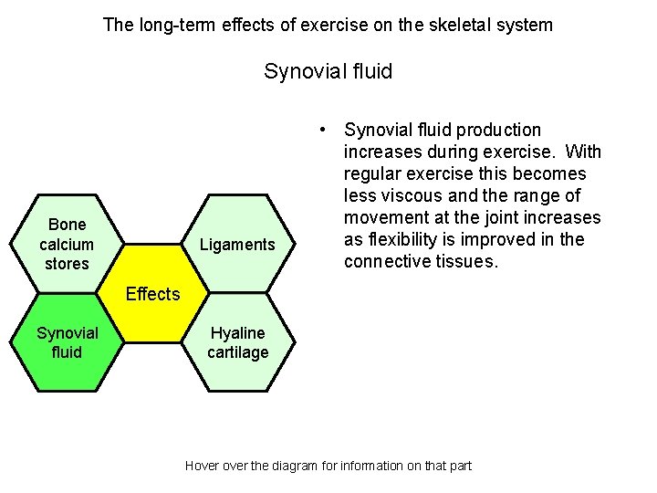The long-term effects of exercise on the skeletal system Synovial fluid Bone calcium stores
