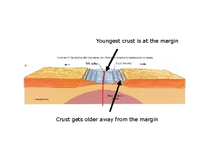 Youngest crust is at the margin Crust gets older away from the margin 