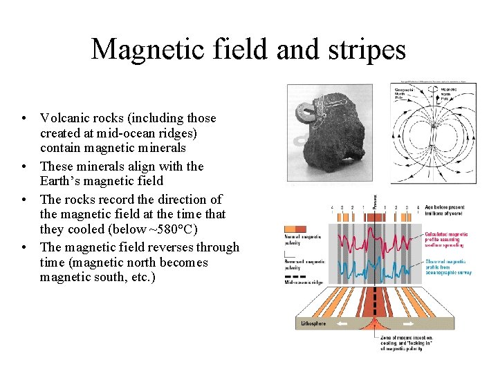 Magnetic field and stripes • Volcanic rocks (including those created at mid-ocean ridges) contain