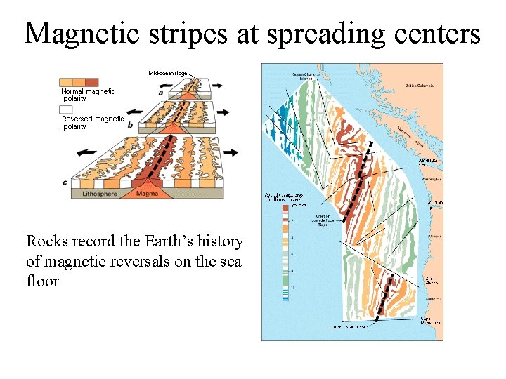 Magnetic stripes at spreading centers Rocks record the Earth’s history of magnetic reversals on