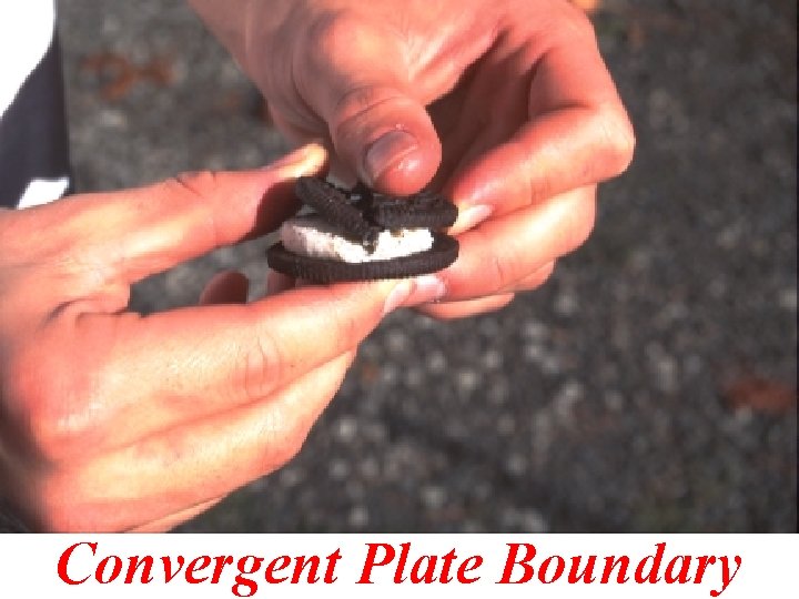 Convergent Plate Boundary 