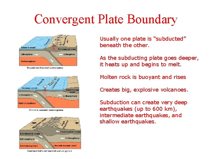 Convergent Plate Boundary Usually one plate is “subducted” beneath the other. As the subducting