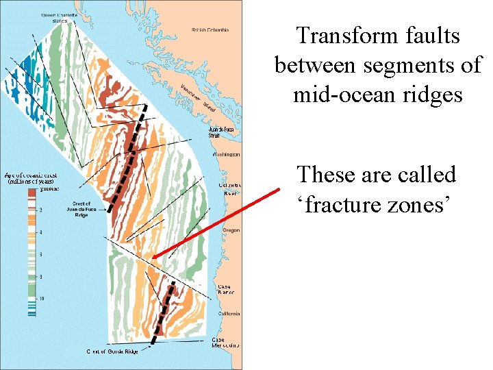 Transform faults between segments of mid-ocean ridges These are called ‘fracture zones’ 