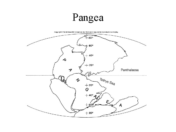 Pangea 