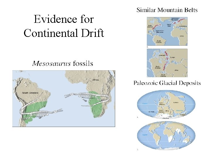 Evidence for Continental Drift 