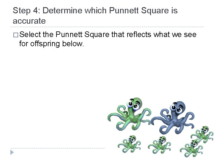 Step 4: Determine which Punnett Square is accurate � Select the Punnett Square that