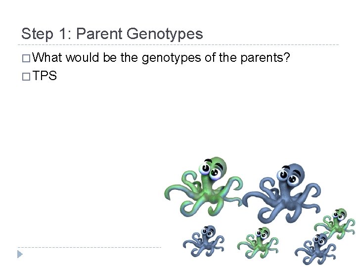 Step 1: Parent Genotypes � What � TPS would be the genotypes of the