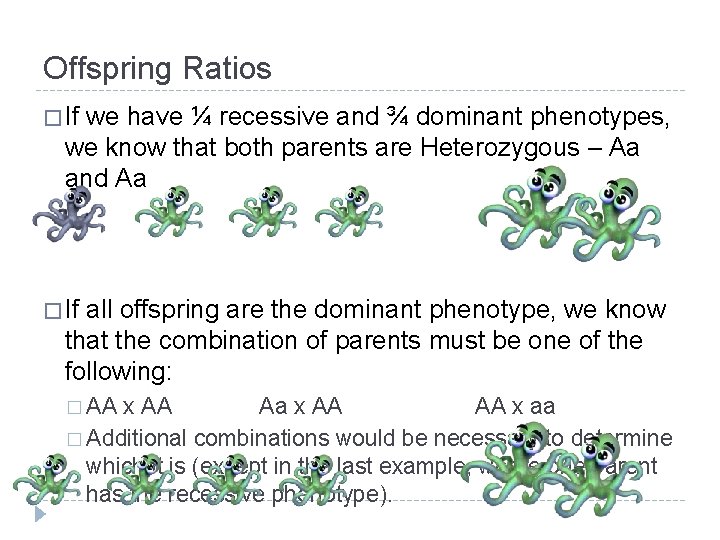 Offspring Ratios � If we have ¼ recessive and ¾ dominant phenotypes, we know