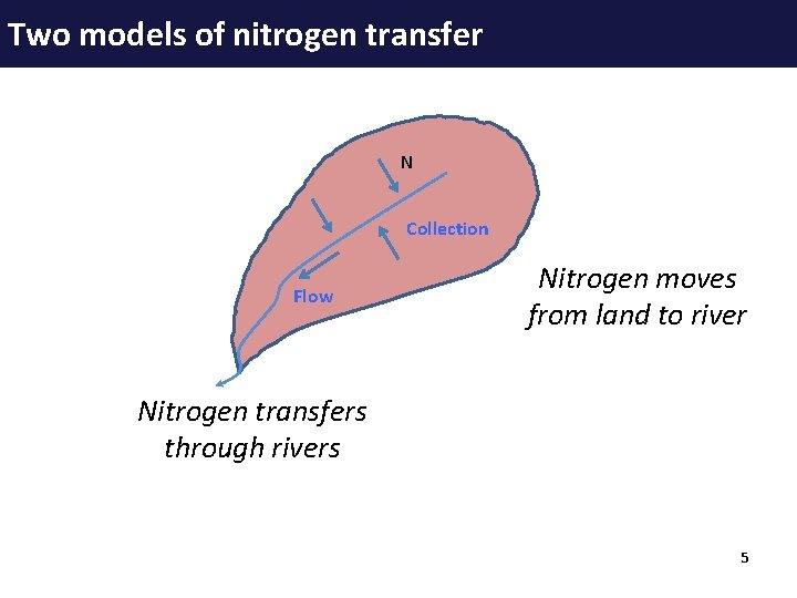 Two models of nitrogen transfer N Collection Flow Nitrogen moves from land to river