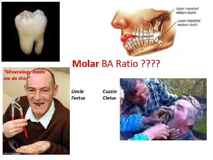 “Mineralogy made me do this!” Molar BA Ratio ? ? Uncle Festus Cuzzin Cletus