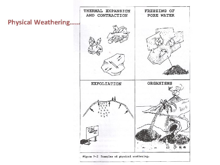 Physical Weathering…… 