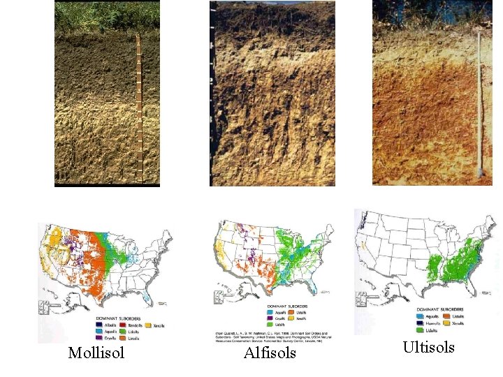 Mollisol Alfisols Ultisols 