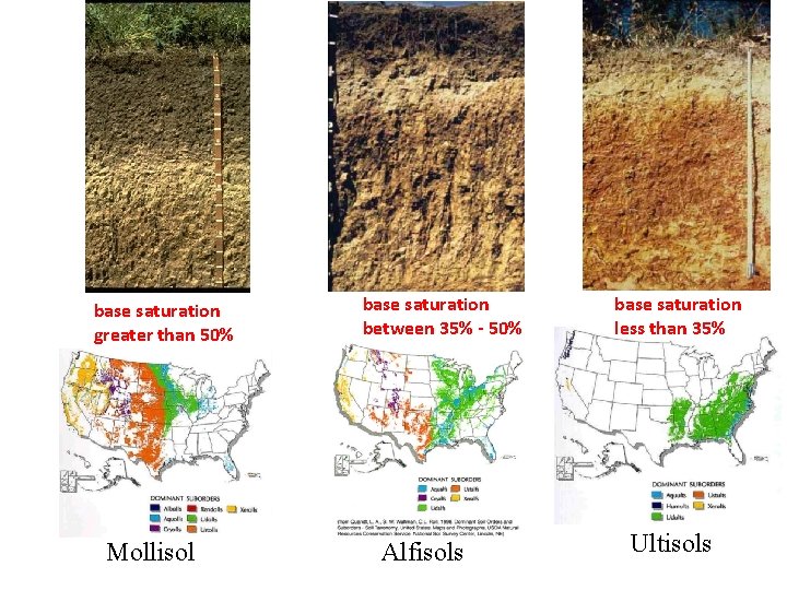 base saturation greater than 50% Mollisol base saturation between 35% - 50% Alfisols base