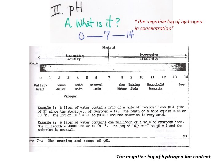 “The negative log of hydrogen in concentration” The negative log of hydrogen ion content
