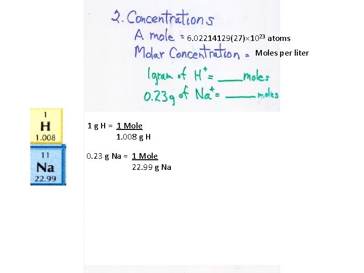 6. 02214129(27)× 1023 atoms Moles per liter 1 g H = 1 Mole 1.