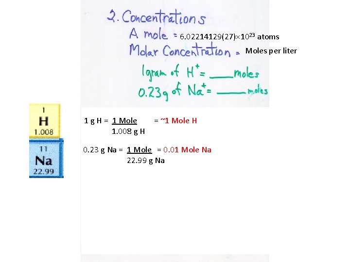 6. 02214129(27)× 1023 atoms Moles per liter 1 g H = 1 Mole 1.
