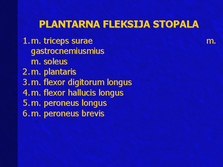 PLANTARNA FLEKSIJA STOPALA 1. m. triceps surae gastrocnemius m. soleus 2. m. plantaris 3.