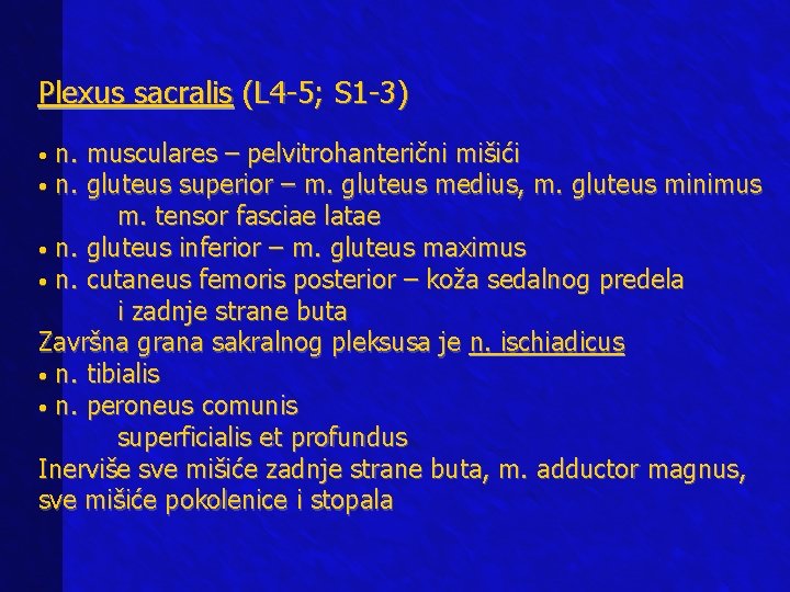 Plexus sacralis (L 4 -5; S 1 -3) n. musculares – pelvitrohanterični mišići •