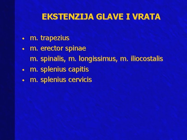 EKSTENZIJA GLAVE I VRATA • • m. trapezius m. erector spinae m. spinalis, m.