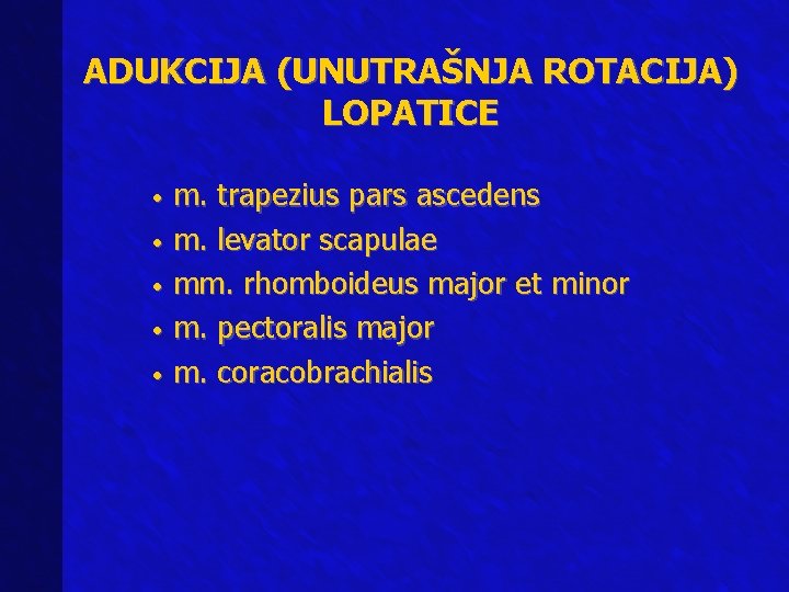 ADUKCIJA (UNUTRAŠNJA ROTACIJA) LOPATICE m. trapezius pars ascedens • m. levator scapulae • mm.