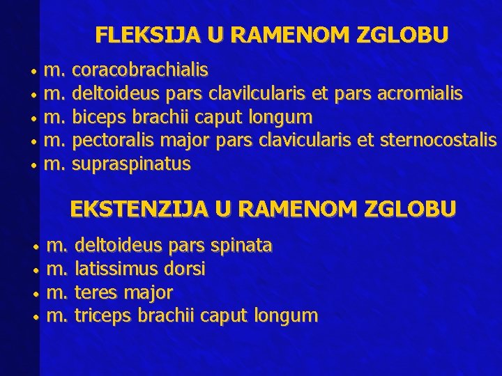 FLEKSIJA U RAMENOM ZGLOBU m. coracobrachialis • m. deltoideus pars clavilcularis et pars acromialis