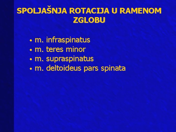 SPOLJAŠNJA ROTACIJA U RAMENOM ZGLOBU m. infraspinatus • m. teres minor • m. supraspinatus