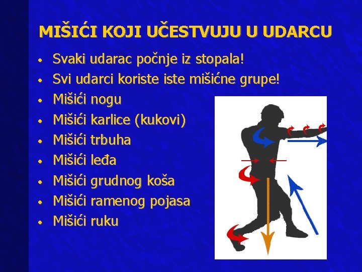 MIŠIĆI KOJI UČESTVUJU U UDARCU • • • Svaki udarac počnje iz stopala! Svi