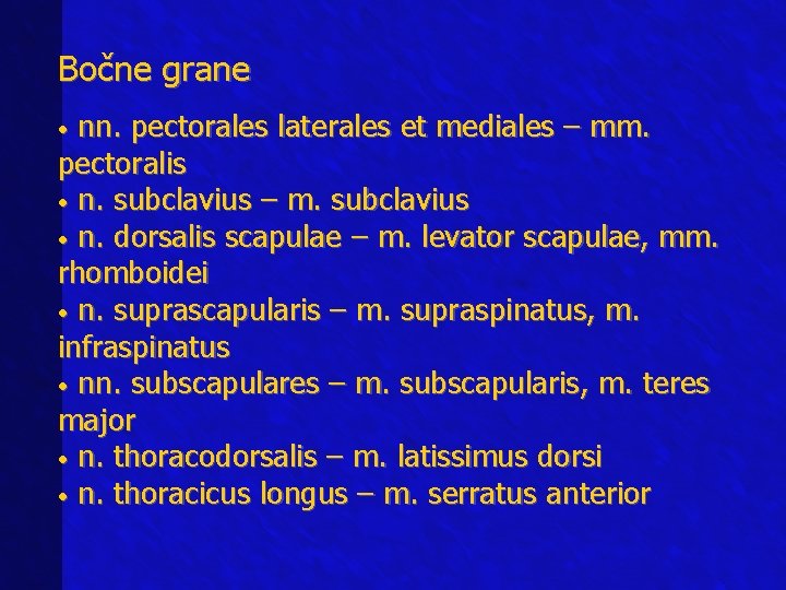 Bočne grane nn. pectorales laterales et mediales – mm. pectoralis • n. subclavius –