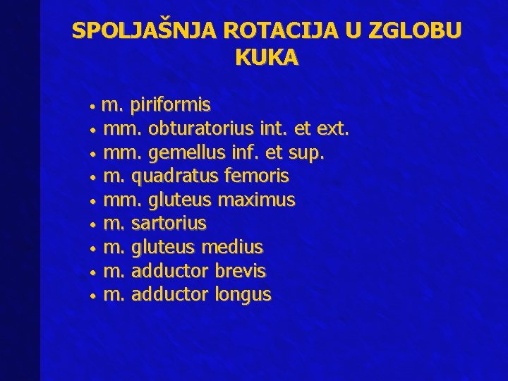 SPOLJAŠNJA ROTACIJA U ZGLOBU KUKA m. piriformis • mm. obturatorius int. et ext. •