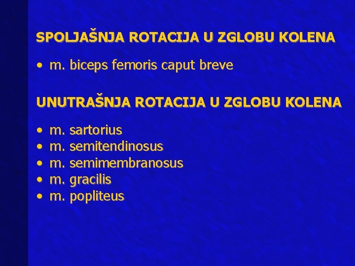 SPOLJAŠNJA ROTACIJA U ZGLOBU KOLENA • m. biceps femoris caput breve UNUTRAŠNJA ROTACIJA U