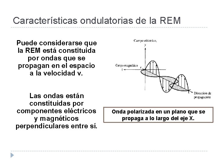 Características ondulatorias de la REM Puede considerarse que la REM está constituida por ondas