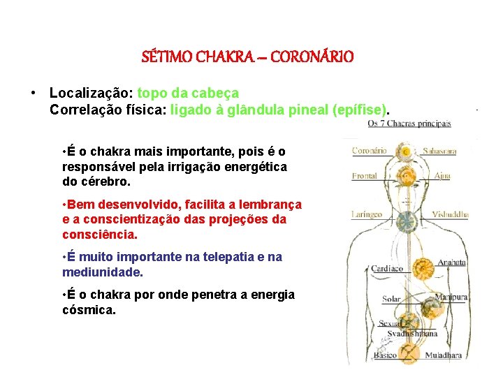 SÉTIMO CHAKRA – CORONÁRIO • Localização: topo da cabeça Correlação física: ligado à glândula